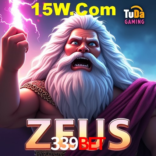 Security Systems 339Bet